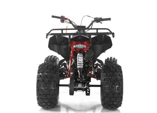 Apollo Falcon X 125 Youth Quad, Automatic with Reverse, Front and rear hydraulic brakes