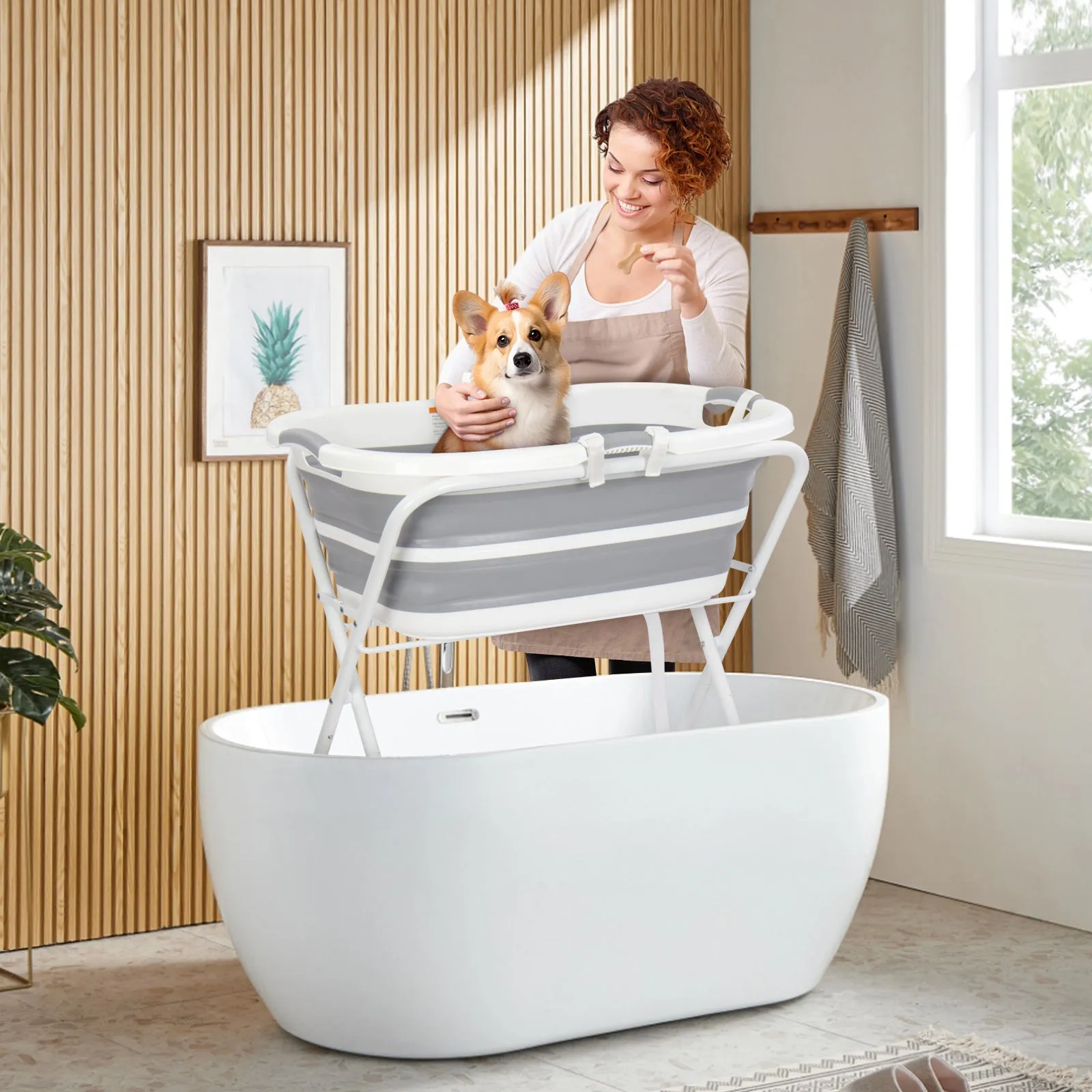 B1 2 in 1 Pet Bath Tub