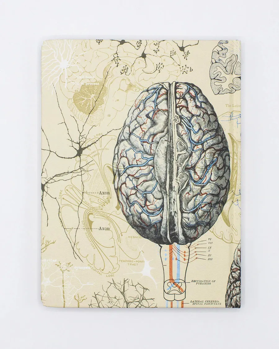 Brain & Neuroscience Lab Notebook