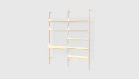 Branch-2 Shelving Unit with Desk