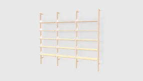 Branch-3 Shelving Unit