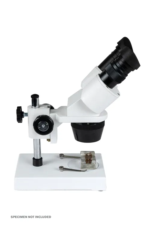 Celestron Labs S1030N Stereo Microscope