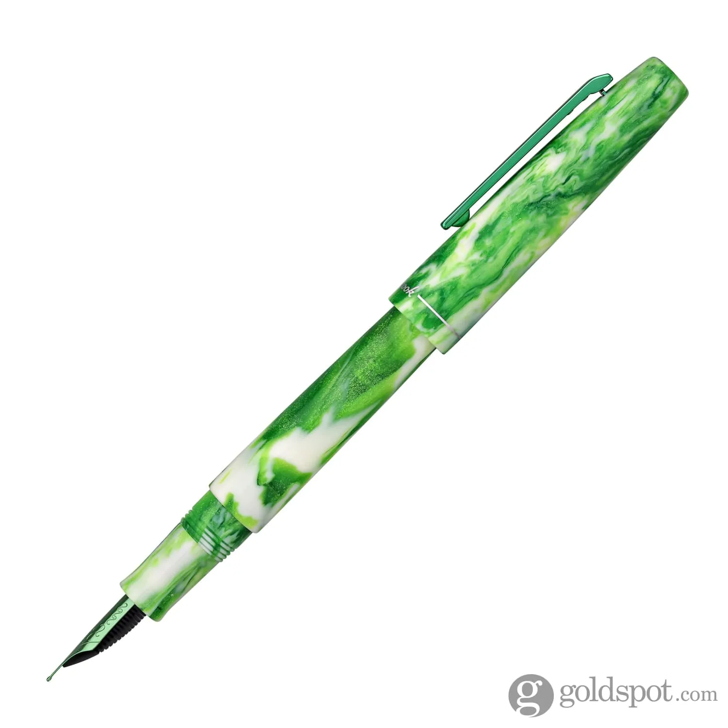 Esterbrook Camden Northern Lights Fountain Pen in Icelandic Green