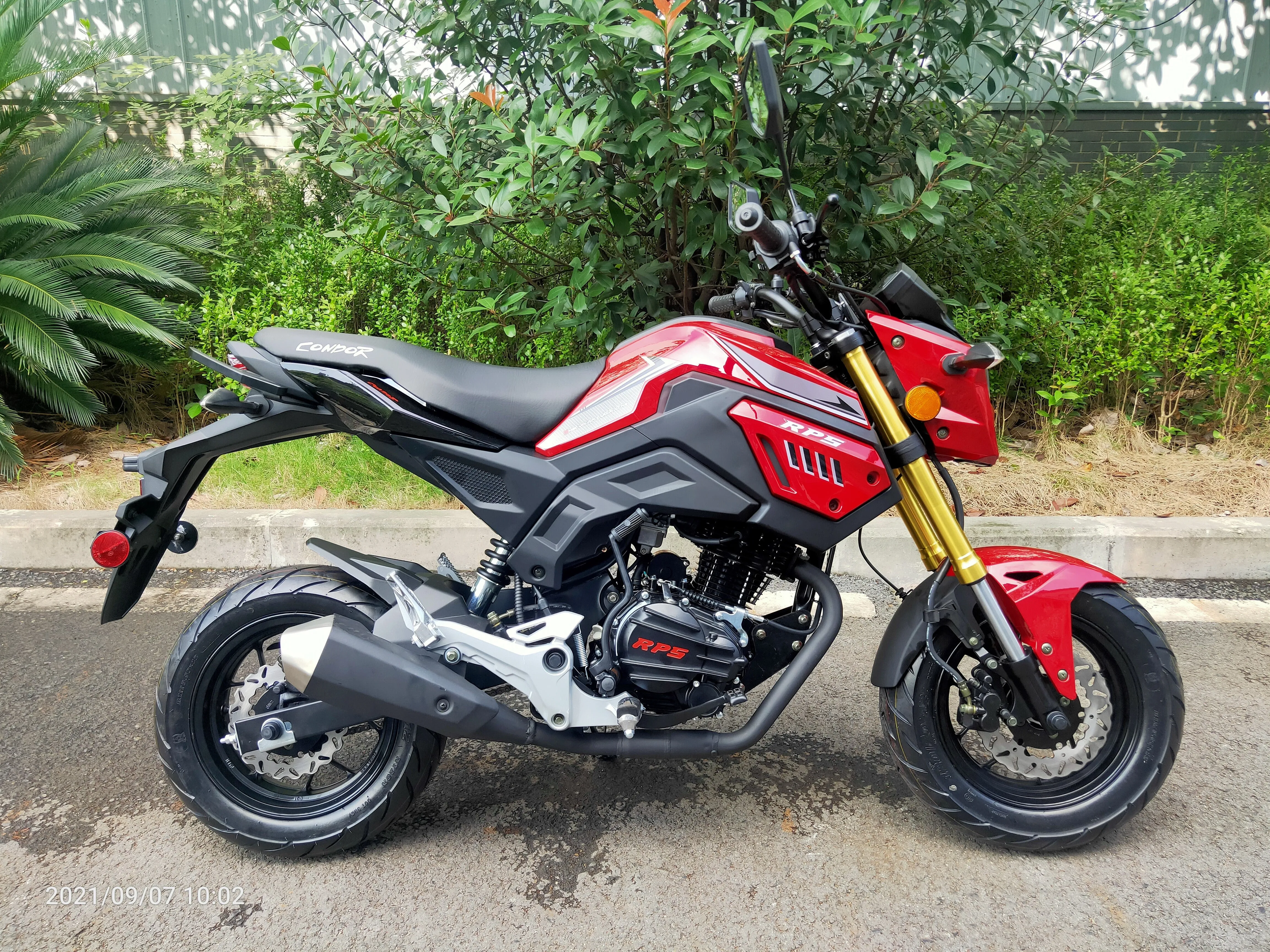 RPS CONDOR Sports Bike 150cc, 5 Speed Manual Trans 31 Inch Seat height, the most powerful GROM tribute on the market